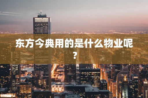 东方今典用的是什么物业呢？