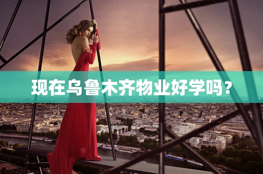 现在乌鲁木齐物业好学吗？