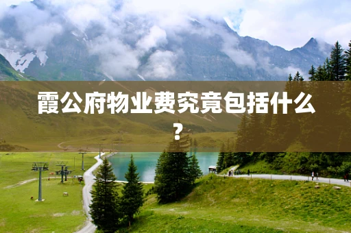 霞公府物业费究竟包括什么？