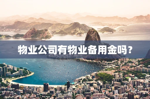 物业公司有物业备用金吗？