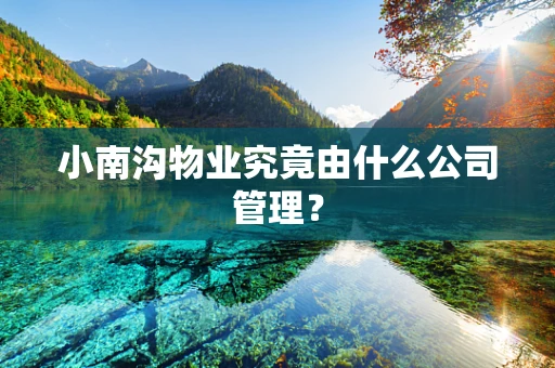 小南沟物业究竟由什么公司管理？