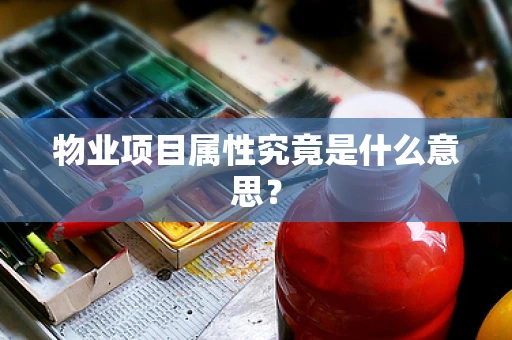 物业项目属性究竟是什么意思？