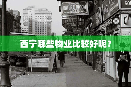 西宁哪些物业比较好呢？