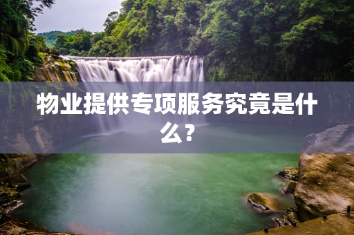 物业提供专项服务究竟是什么？