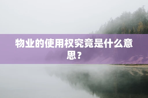 物业的使用权究竟是什么意思？