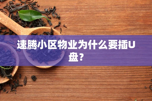 速腾小区物业为什么要插U盘？