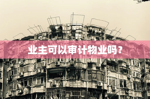 业主可以审计物业吗？