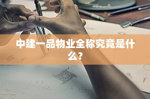 中建一品物业全称究竟是什么？