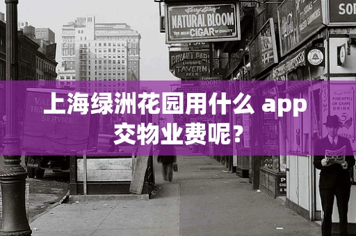 上海绿洲花园用什么 app 交物业费呢？