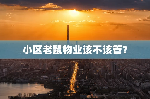 小区老鼠物业该不该管？