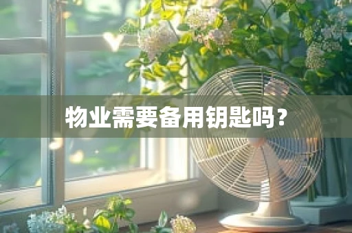 物业需要备用钥匙吗？
