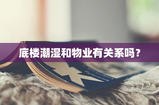 底楼潮湿和物业有关系吗？