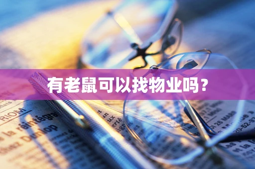 有老鼠可以找物业吗？