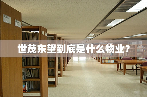 世茂东望到底是什么物业？