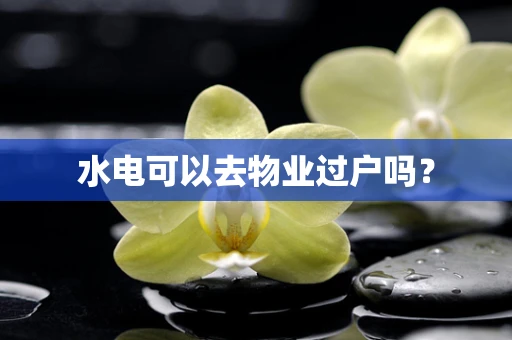 水电可以去物业过户吗？