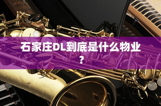 石家庄DL到底是什么物业？
