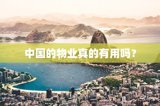 中国的物业真的有用吗？