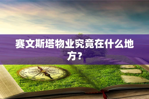 赛文斯塔物业究竟在什么地方？