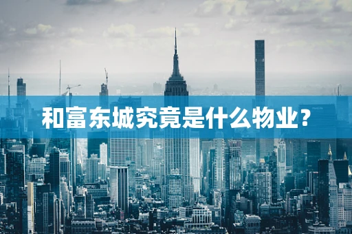 和富东城究竟是什么物业？