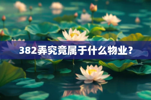 382弄究竟属于什么物业？