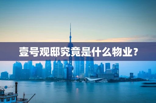 壹号观邸究竟是什么物业？