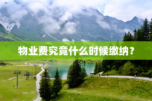 物业费究竟什么时候缴纳？