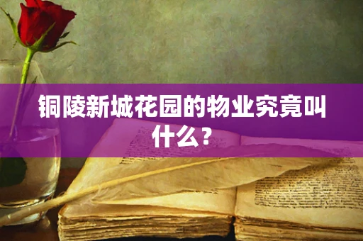 铜陵新城花园的物业究竟叫什么？