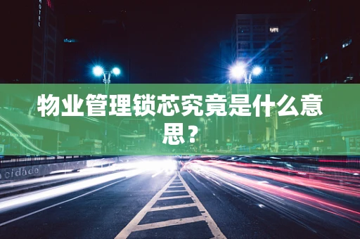 物业管理锁芯究竟是什么意思？