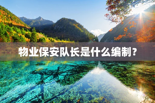 物业保安队长是什么编制？
