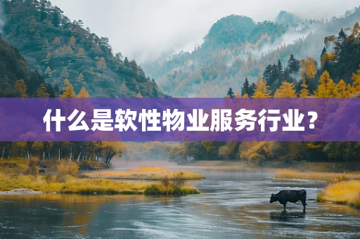 什么是软性物业服务行业？