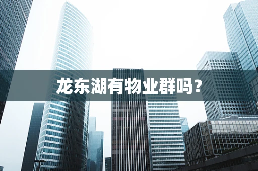 龙东湖有物业群吗？