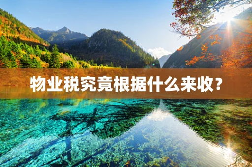 物业税究竟根据什么来收？