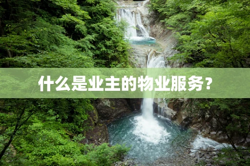 什么是业主的物业服务？