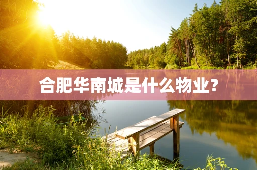 合肥华南城是什么物业？