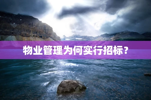 物业管理为何实行招标？
