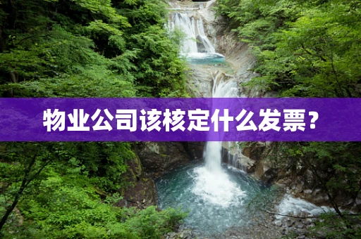 物业公司该核定什么发票？
