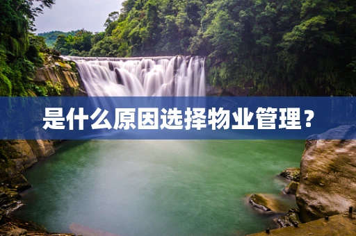 是什么原因选择物业管理？
