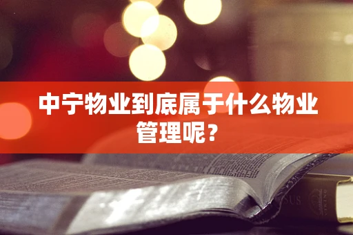 中宁物业到底属于什么物业管理呢？