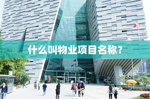什么叫物业项目名称？