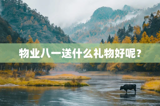 物业八一送什么礼物好呢？
