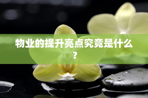物业的提升亮点究竟是什么？