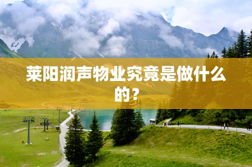 莱阳润声物业究竟是做什么的？
