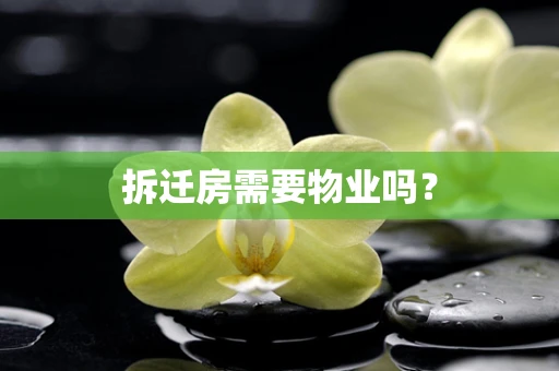 拆迁房需要物业吗？