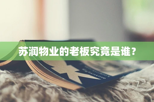 苏润物业的老板究竟是谁？