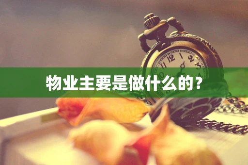 物业主要是做什么的？