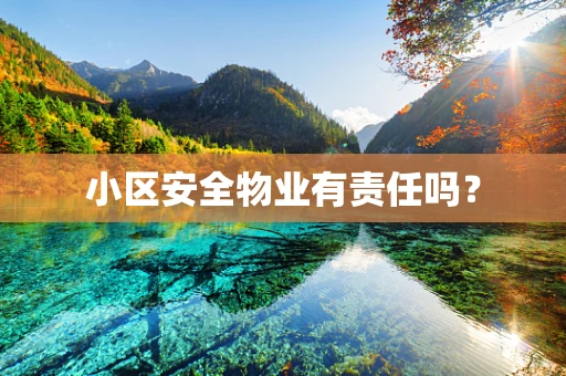 小区安全物业有责任吗？