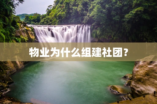 物业为什么组建社团？