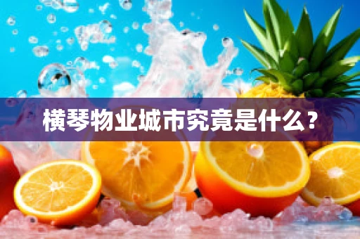 横琴物业城市究竟是什么？