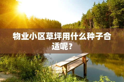 物业小区草坪用什么种子合适呢？
