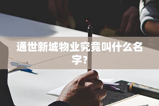 通世新城物业究竟叫什么名字？
